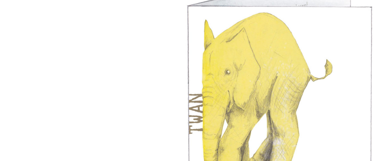 1601 | yellow elephants | birth announcement | baby card