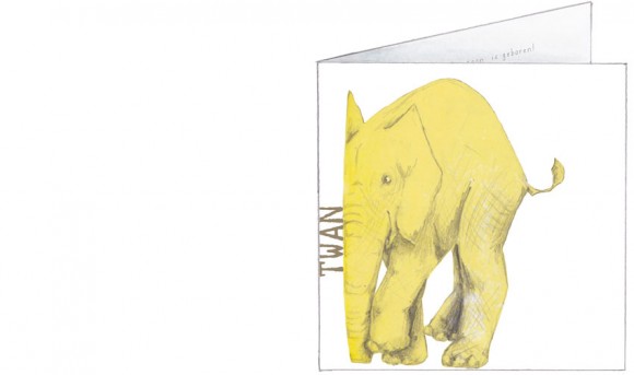 gele olifanten | voorkant
