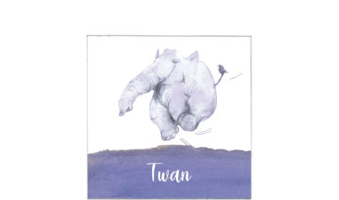 1608e | overjoyed elephant in purple | birth announcement | baby card