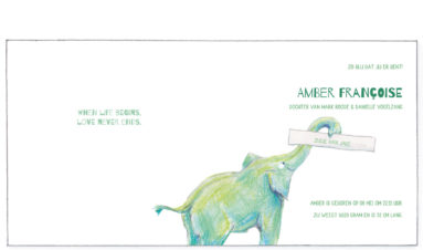 1609 | green elephant with baby | birth announcement | baby card