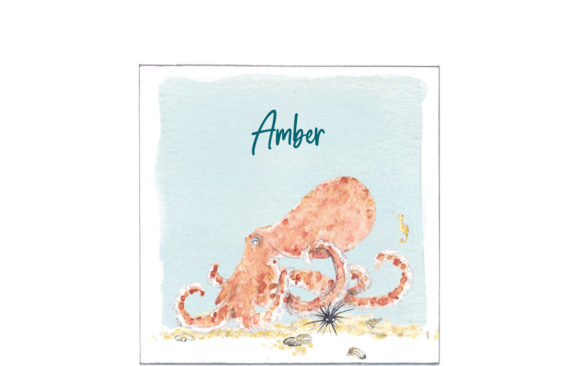 1619 | octopus met zeepaardje, krab en zee-egel