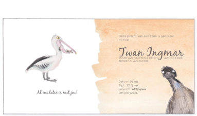 1620 | Australian anmimals- pelican, emoe, numbus, penguin and an sugarglider| birth announcement | baby card