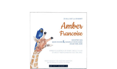 1621e | African giraffe, zebra and hyacinth macaw | | birth announcement | baby card