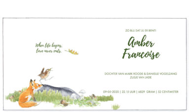 1622 | fox family with a wren | birth announcement | baby card