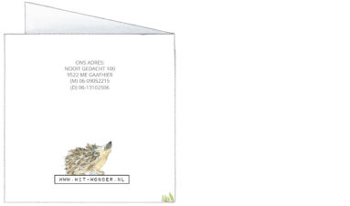 1623 | hare, hedgehog and a wren with a photo | birth announcement | baby card
