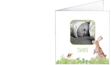 1623 | hare, hedgehog and a wren with a photo | birth announcement | baby card