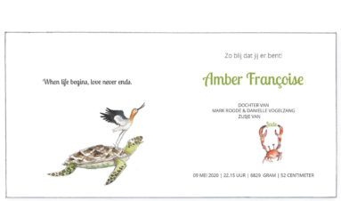 1624 | whale, flamingo, turtle, crab and avocet | birth announcement | baby card