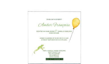 1626e | stork with a yellow balloon and a frog | birth announcement | baby card