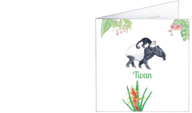 1630 | tropical card with a tapir and capuchin monkey | irth announcement | baby card