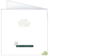 1634 | frolicking foals in the grass| birth announcement | baby card