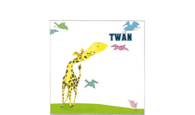 1639e | cheerful giraffe with colourful birds | birth announcement | baby card