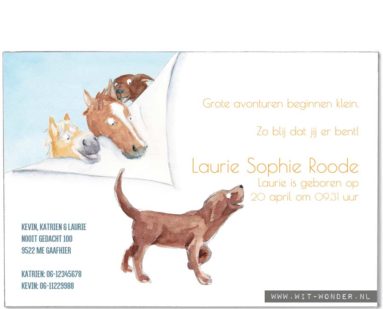 Maatwerk kaart; paarden en labradors. Custom-made card; horses and labrador dogs.